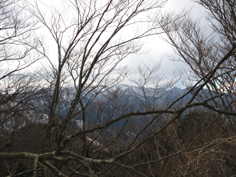 20170113hike (280)